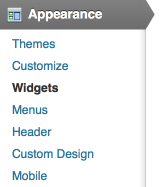wordpress widget